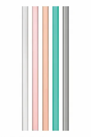 Populair Camelbak Herbruikbare rietjesaccessoires (x5)