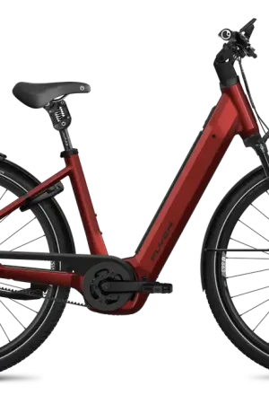 Favoriet Flyer G2 Gotour 5.43 HD - 800 Wh
