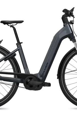 Flyer Gotour 5.43 CX - 750 Wh Fabrieksprijs