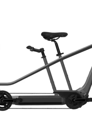Hoge Kwaliteit Flyer Tandem 7.70