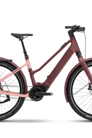 Fabrieksprijs Winora iRide Pure 5Rf