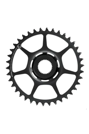 Sram Tandwiel X-Sync 2 34T Bosch dm Hoge Kwaliteit
