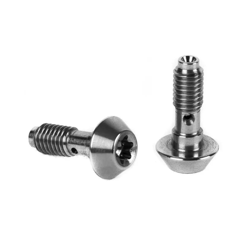 Elvedes Banjoschroeven Magura (x2) Aanbieding