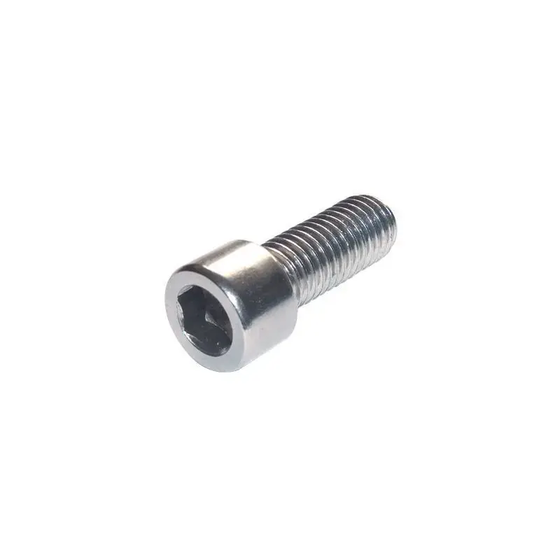 Finale Uitverkoop Black Bearing Zakje met 25 verzinkte schroeven M6 x 12 CHC