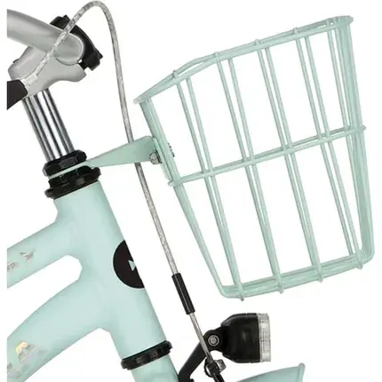 Bestel Nu ALPINA Alpina mand 20/22 Ocean glace mint matt