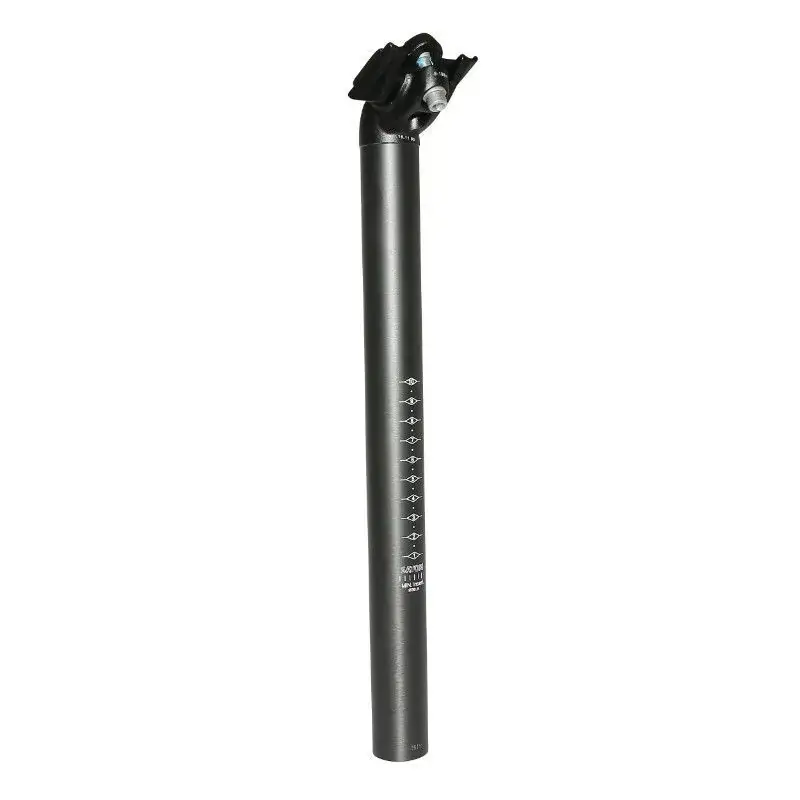P2R Zadelpen RS 30,9 Lage Kosten
