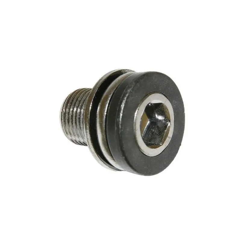 Actieprijs Algi Trapasbout 12X100 (00343000)