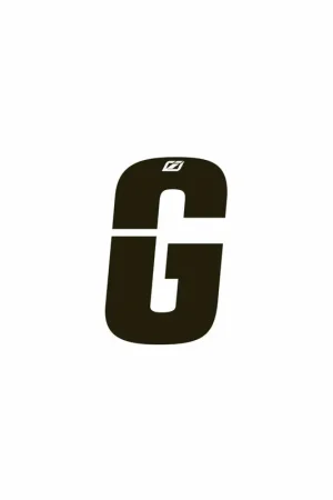Insight Brief G Bestseller
